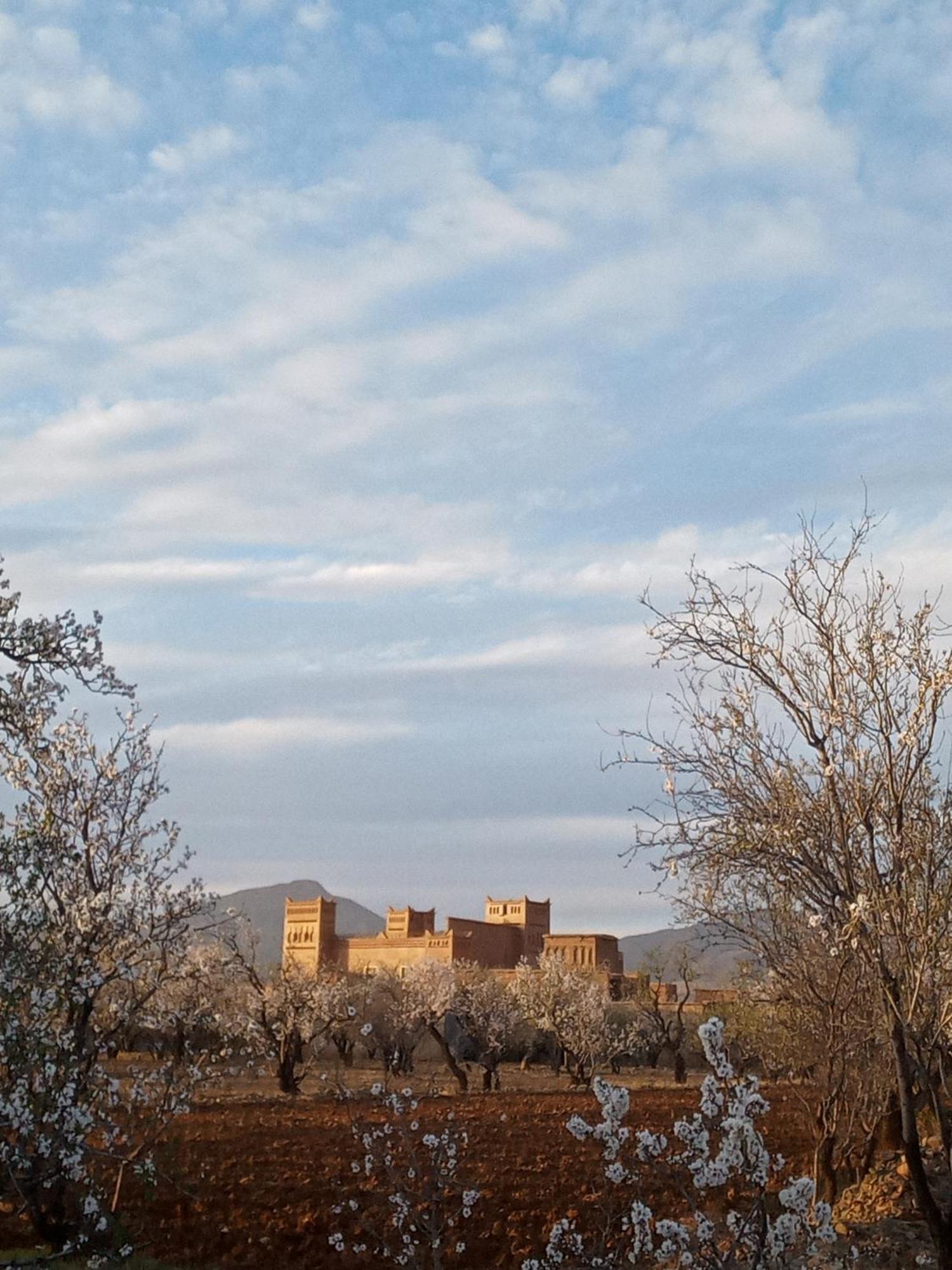 Chez L'Habitant Amazigh Ouarzazate Exteriör bild